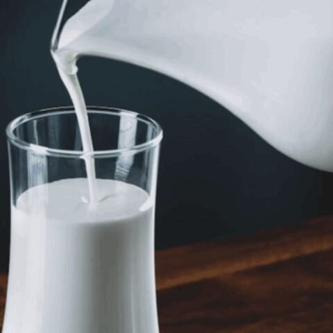 Buffalo Milk Khoya — 500g