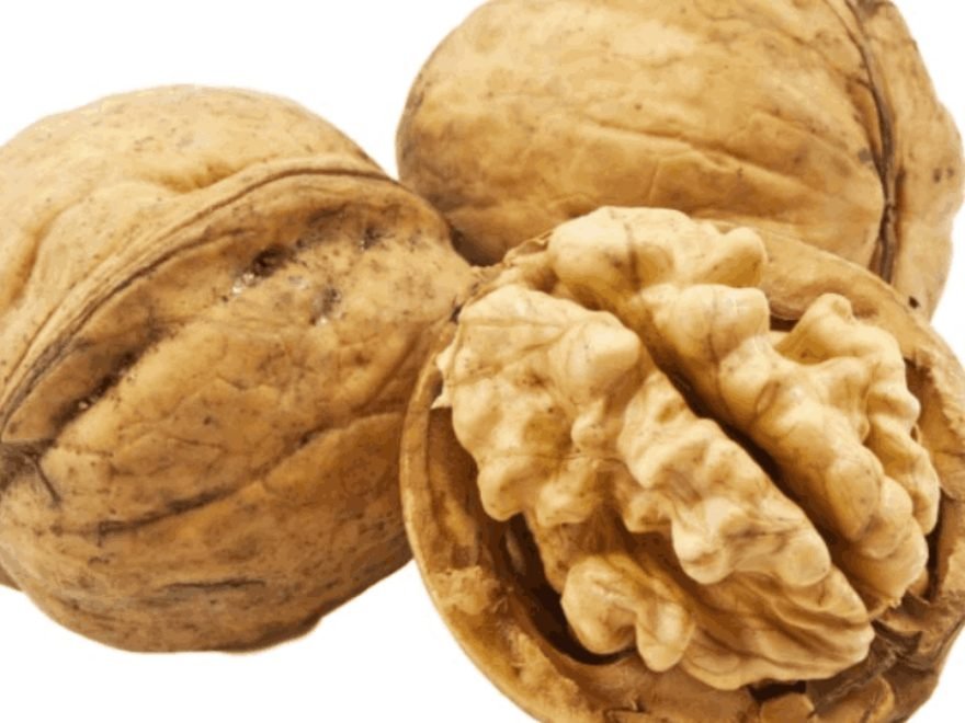 Gilgit Walnut Kernels — 500g