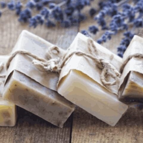 Handmade Olive Soap — Pack of 6